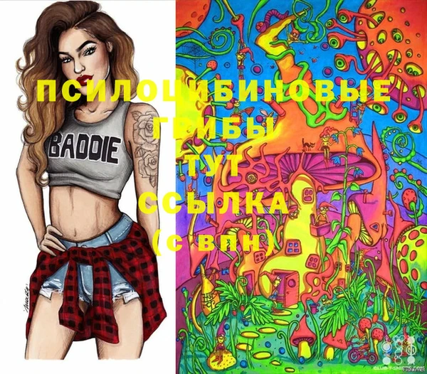 синтетический гашиш Алексин