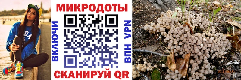 Купить  Кукмор  Псилоцибиновые грибы прущие грибы 